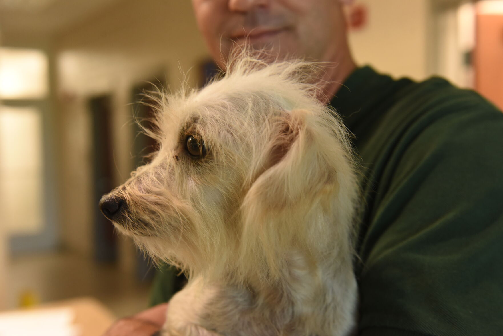 Pittsylvania Pet Center